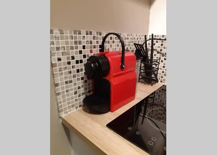 Le Petit Saint Nicolas, En Plein Centre *