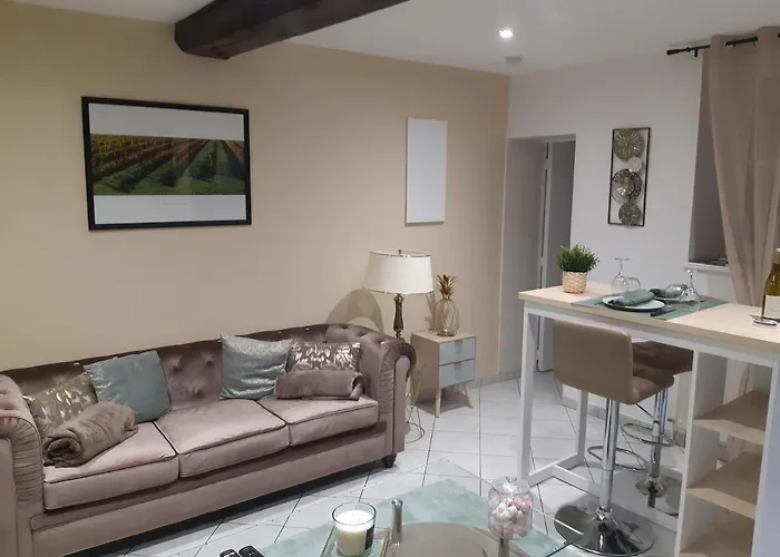 Le Petit Saint Nicolas, En Plein Centre Apartment *