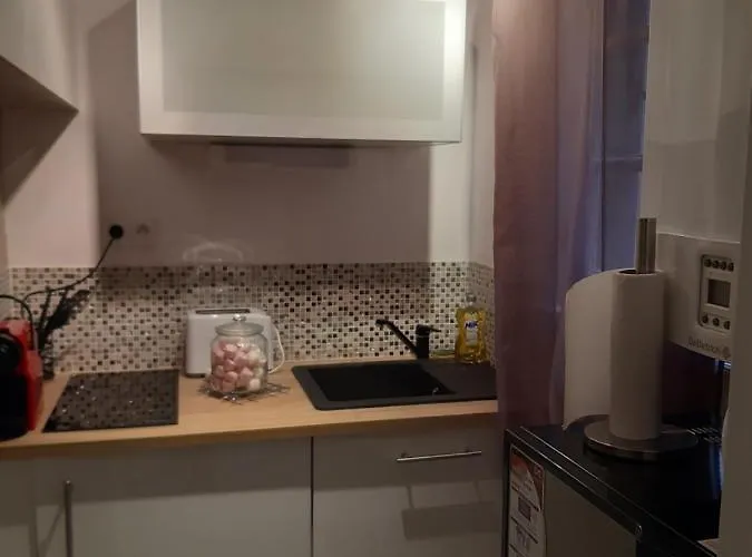 Le Petit Saint Nicolas, En Plein Centre Apartment